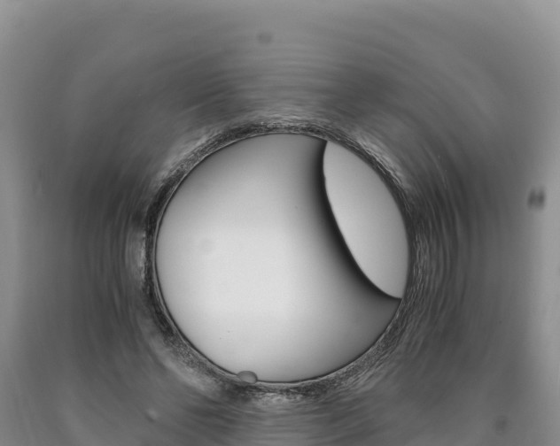 X0000090880494200707271020