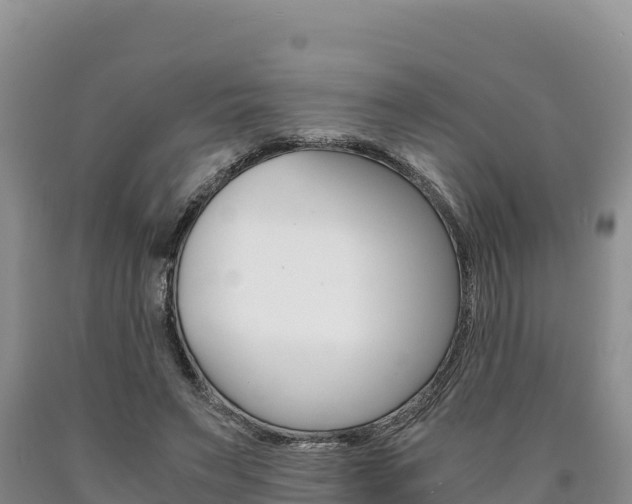 X0000090880495200707271020