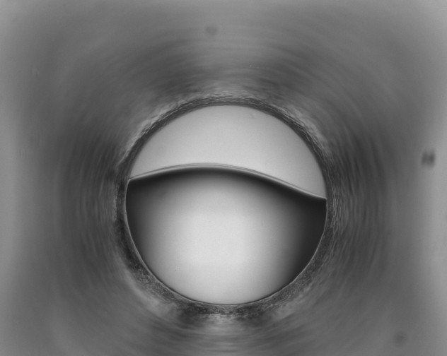 X0000090880496200707271020