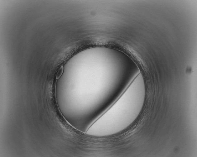 X0000090880497200707271020
