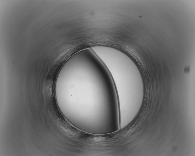 X0000090880501200707271019