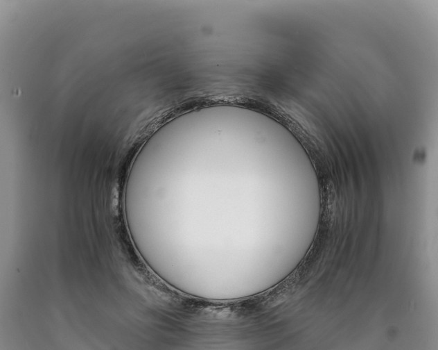 X0000090880502200707271019
