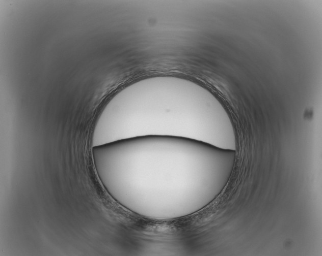 X0000090880503200707271019