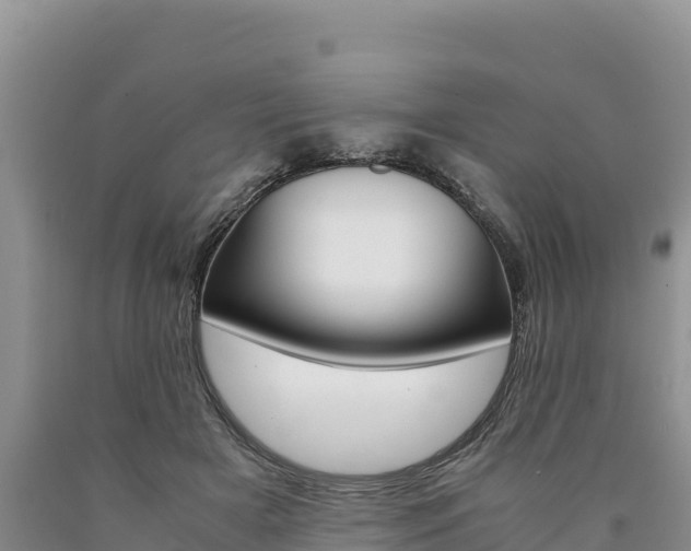 X0000090880505200707271019