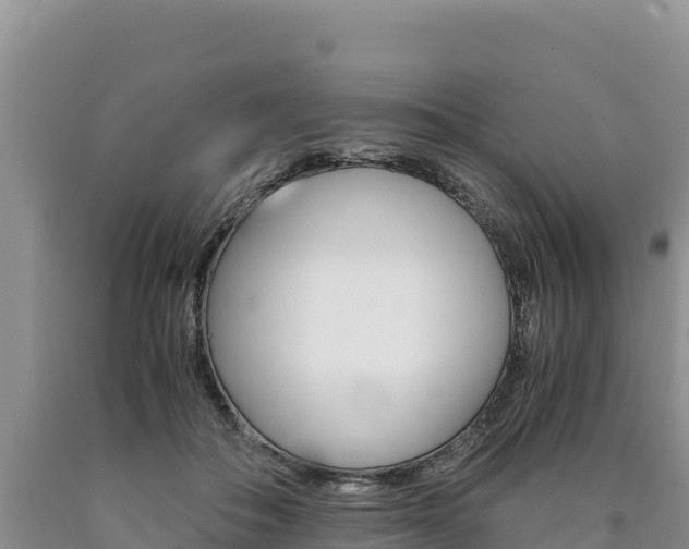 X0000090880506200707271019