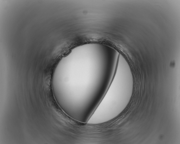 X0000090880509200707271019