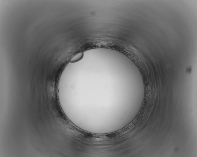 X0000090880510200707271019