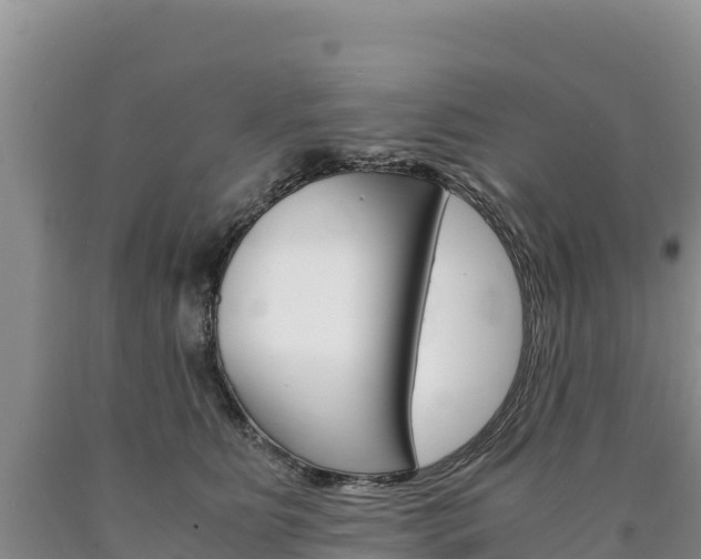 X0000090880515200707271019