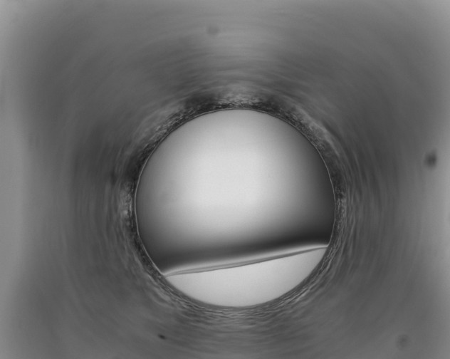 X0000090880517200707271019