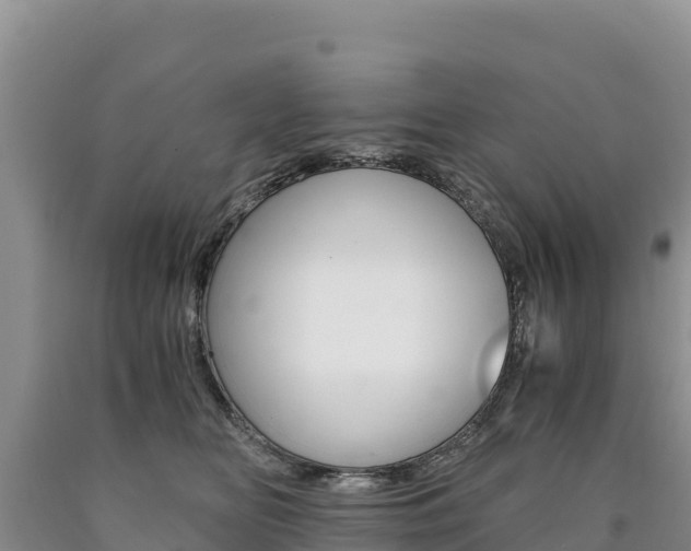 X0000090880518200707271019
