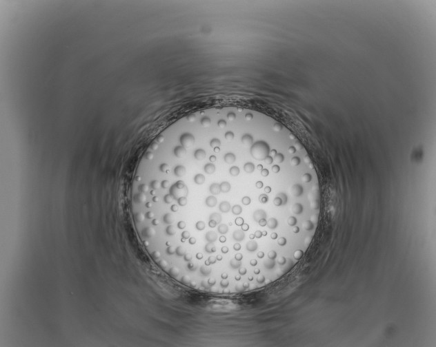 X0000090880519200707271019