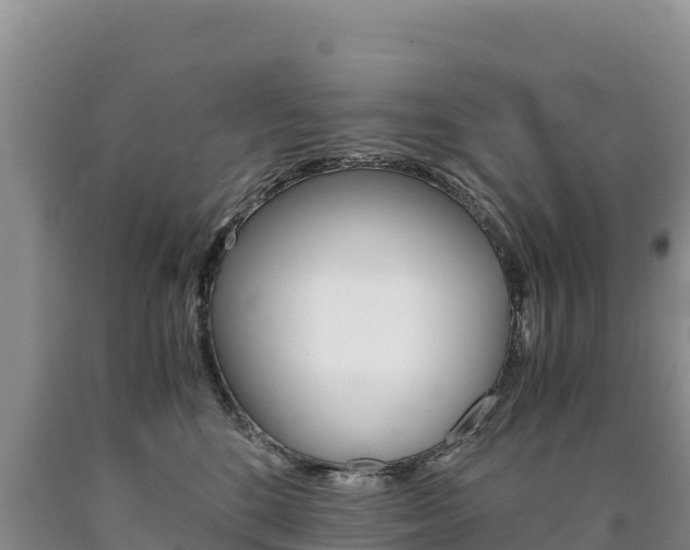 X0000090880520200707271019