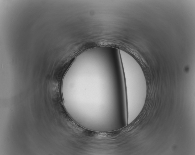 X0000090880521200707271019
