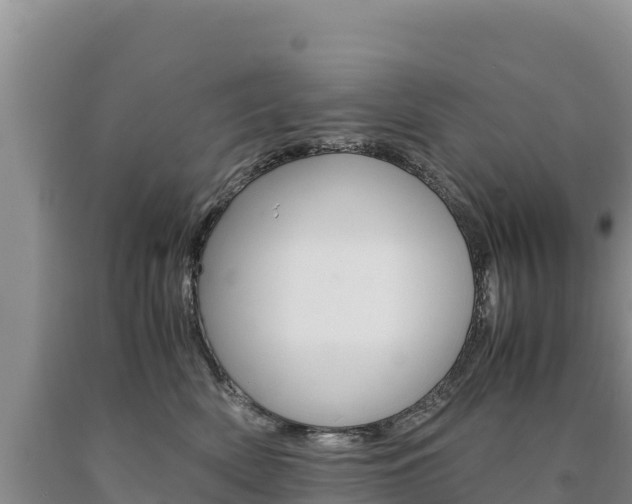 X0000090880522200707271019