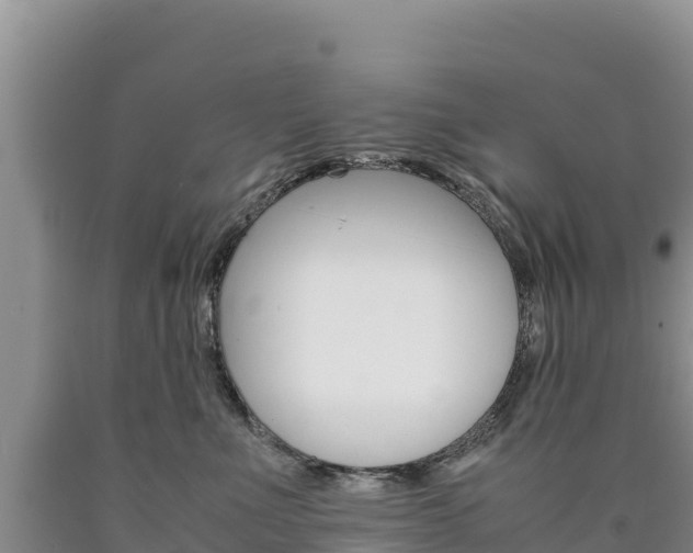 X0000090880523200707271019