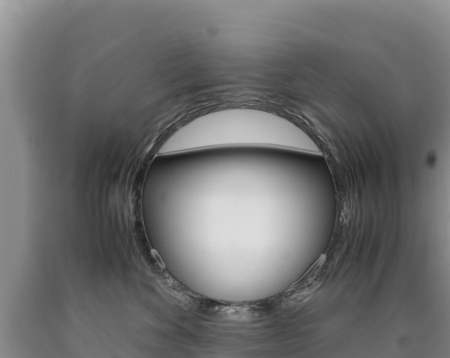X0000090880524200707271019