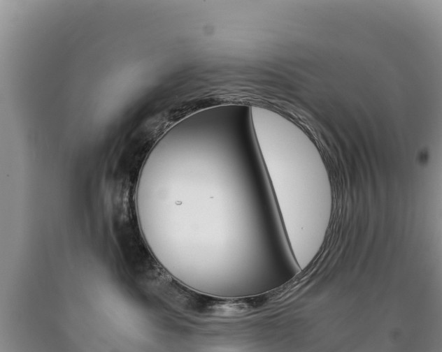 X0000090880525200707271019