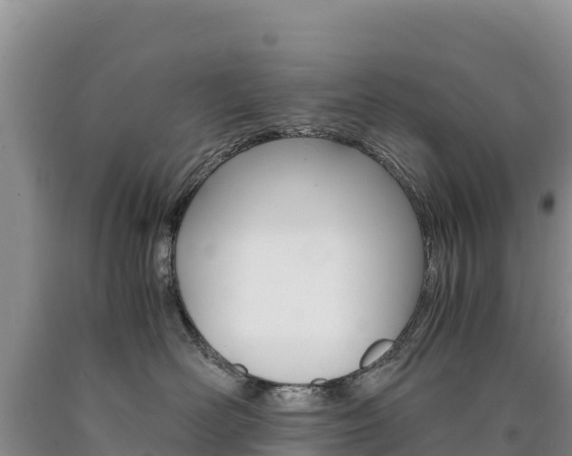 X0000090880526200707271019