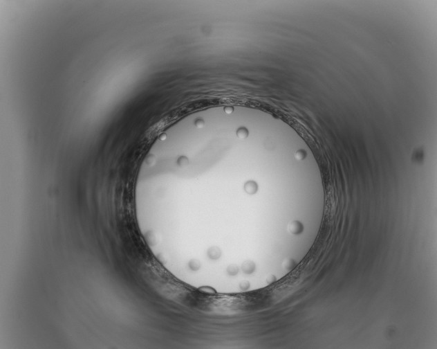 X0000090880527200707271019