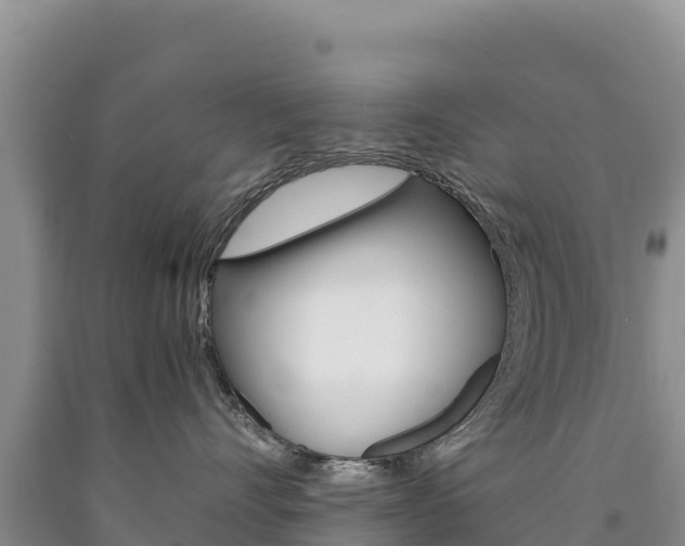 X0000090880528200707271019