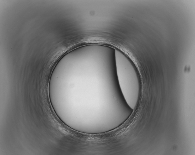 X0000090880529200707271019