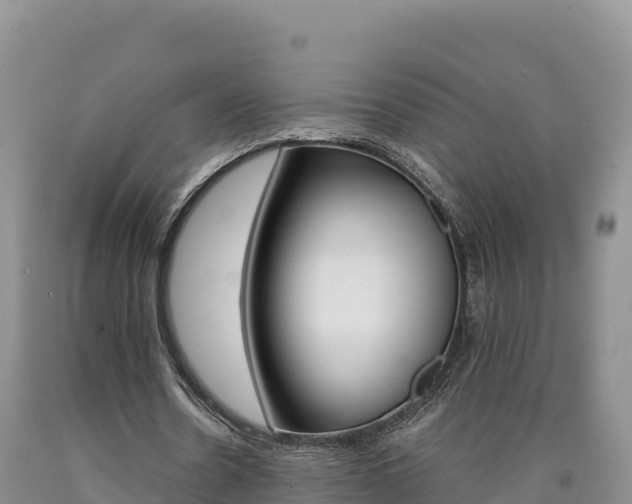 X0000090880530200707271019