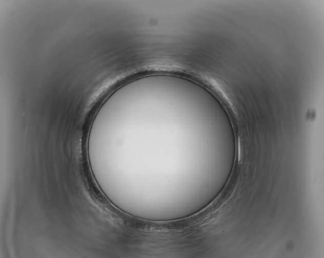 X0000090880531200707271019