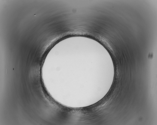 X0000090880534200707271019