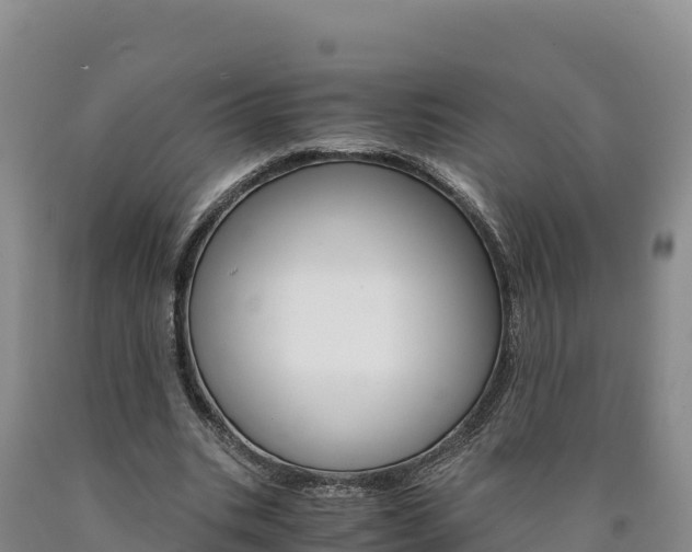 X0000090880535200707271019