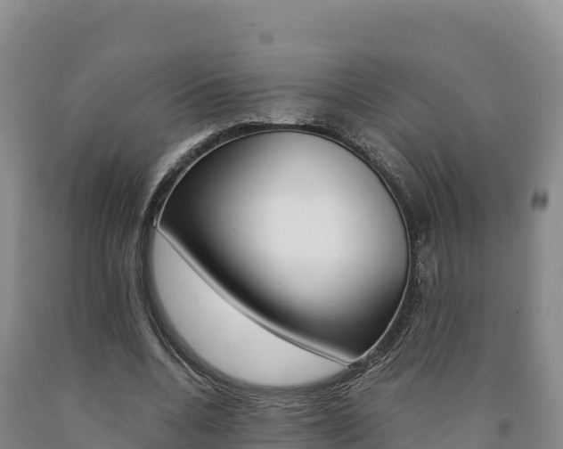 X0000090880536200707271019