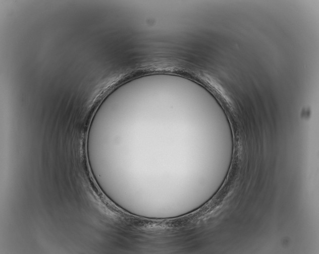 X0000090880537200707271019