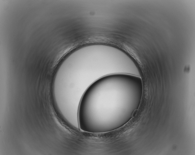 X0000090880538200707271019