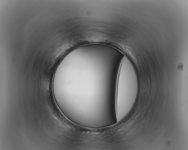 X0000090880539200707271019