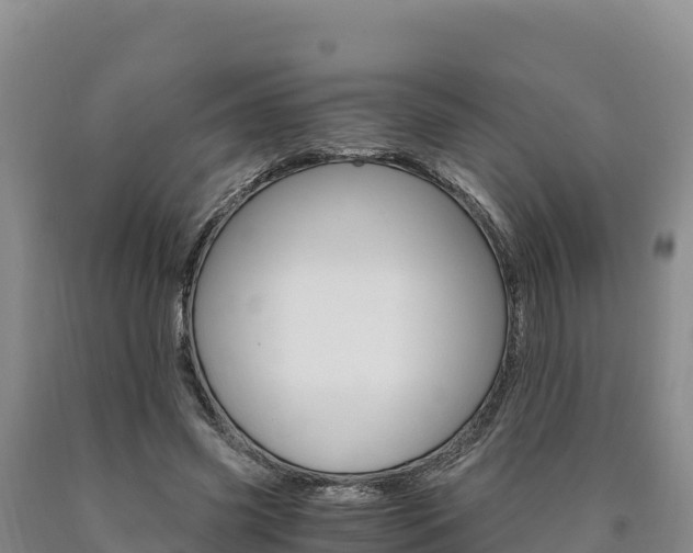 X0000090880541200707271019