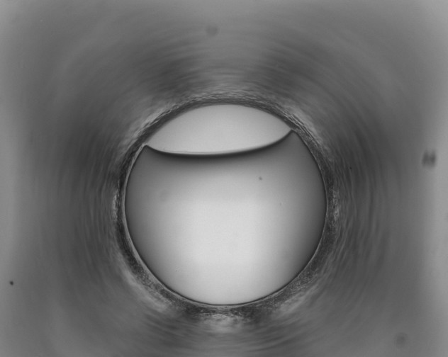 X0000090880542200707271019