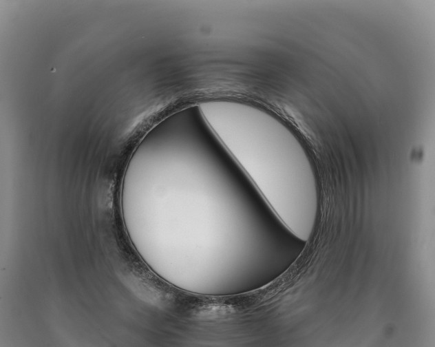 X0000090880543200707271019