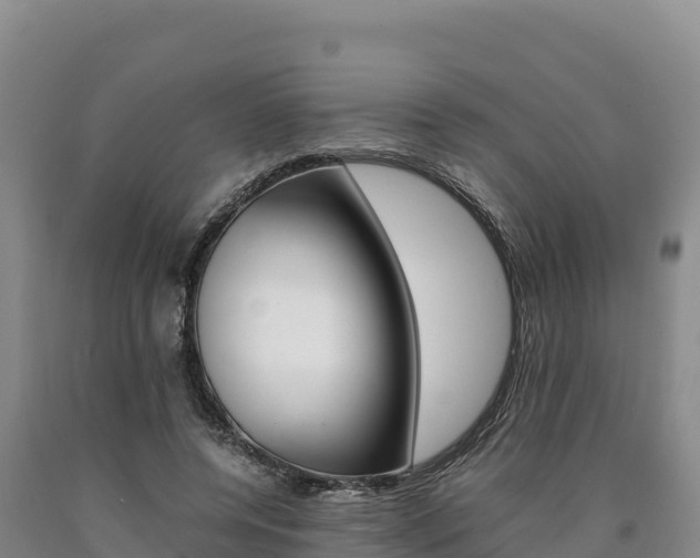 X0000090880544200707271019