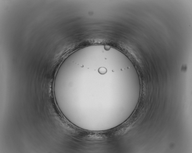 X0000090880545200707271019