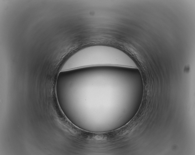 X0000090880546200707271019