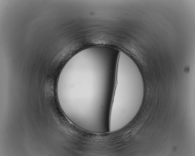 X0000090880547200707271019