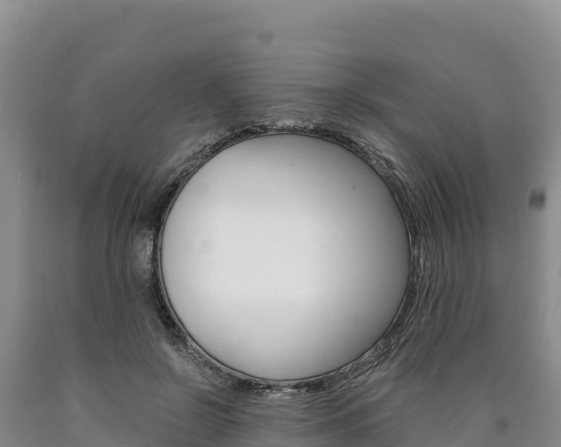 X0000090880550200707271019