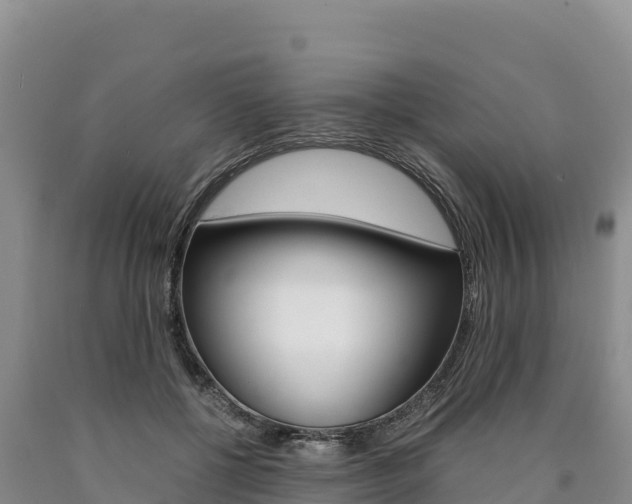 X0000090880552200707271019