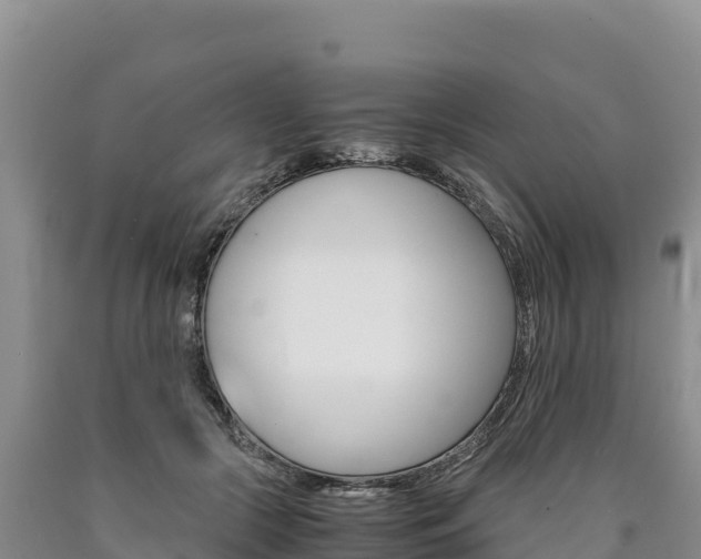 X0000090880553200707271019
