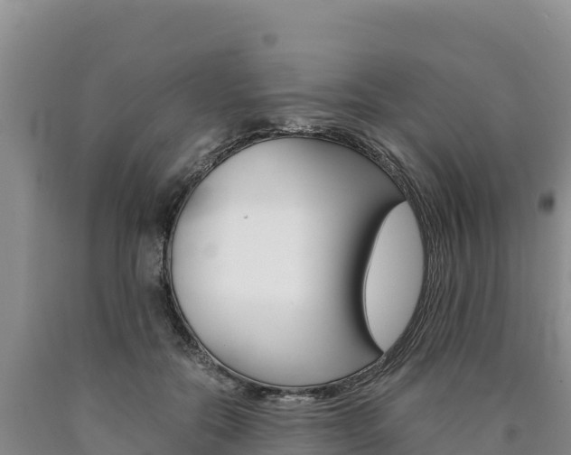 X0000090880554200707271019