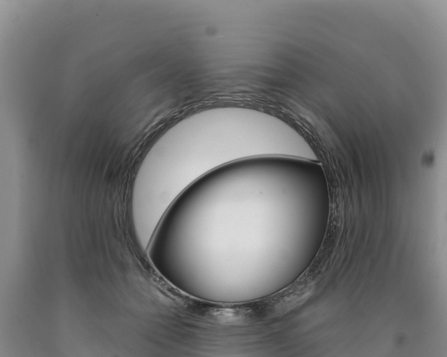 X0000090880558200707271019