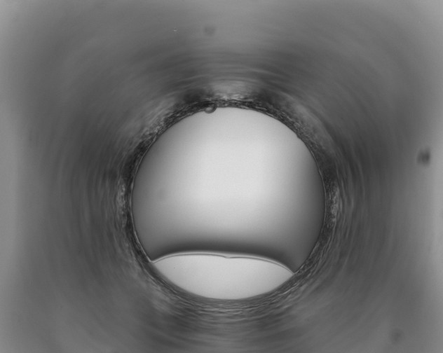X0000090880559200707271019