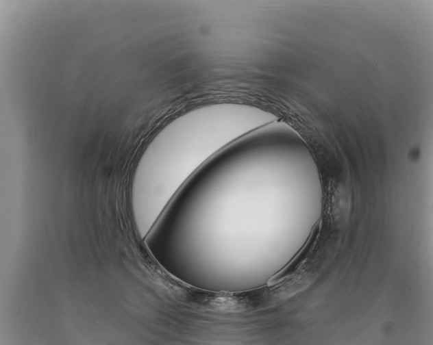 X0000090880562200707271019