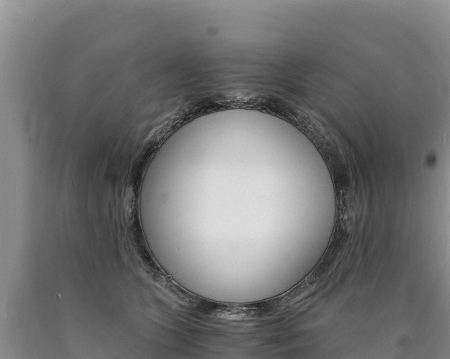 X0000090880563200707271019