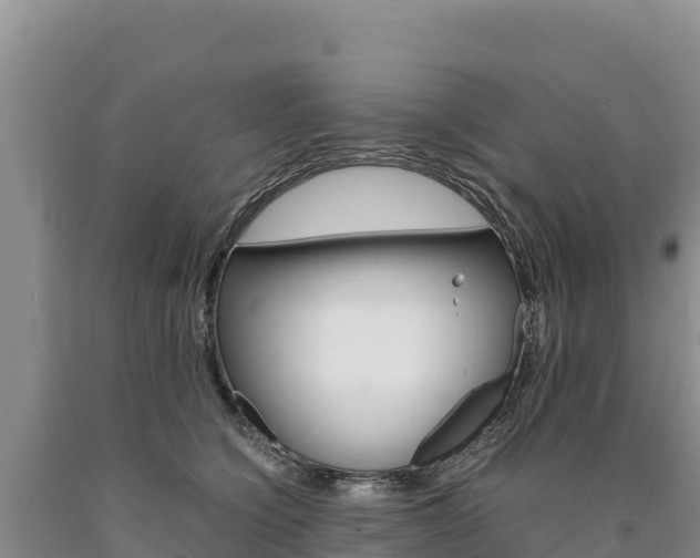 X0000090880564200707271019