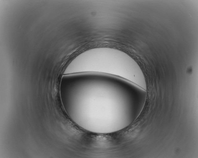 X0000090880566200707271019